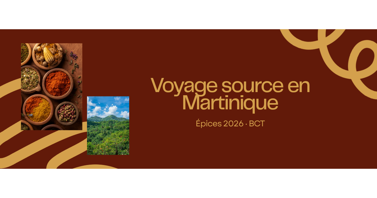 Voyage source en Martinique : les epices nouvelles 2026